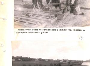 Confecționarea chirpicilor din lut. Satul Molochiș, raionul Râbnița. 1952